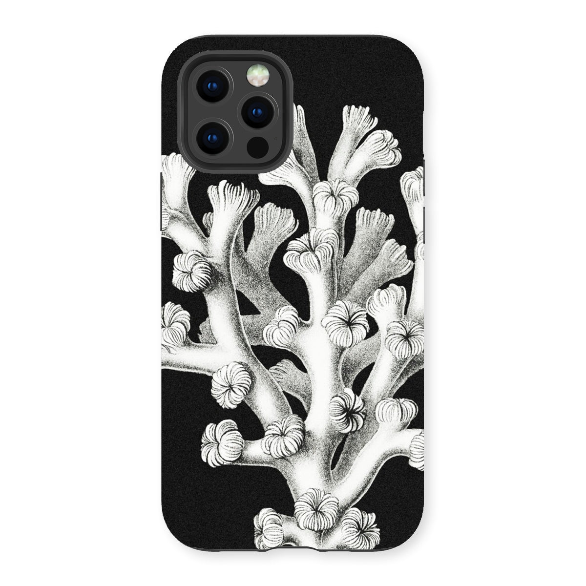 Coral - Ernst Haeckel Marine Life Illustration Iphone Case, 13 Pro / Matte, Black Phone Case Coral Design