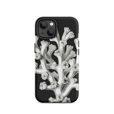 Coral - Ernst Haeckel Marine Life Illustration Iphone Case, 14 / Matte, Black Phone Case Coral Design