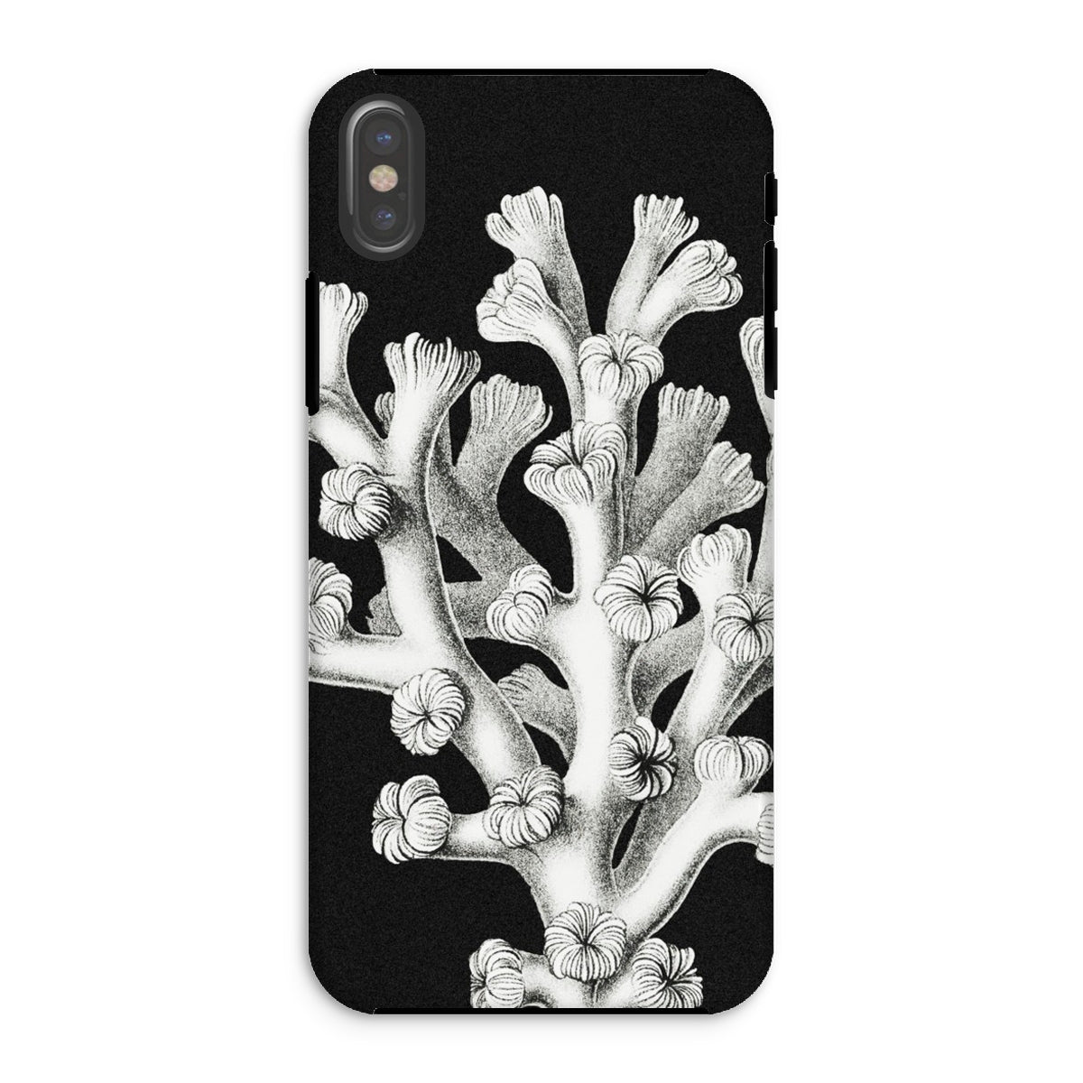 Coral - Ernst Haeckel Marine Life Illustration Iphone Case - Xs / Matte