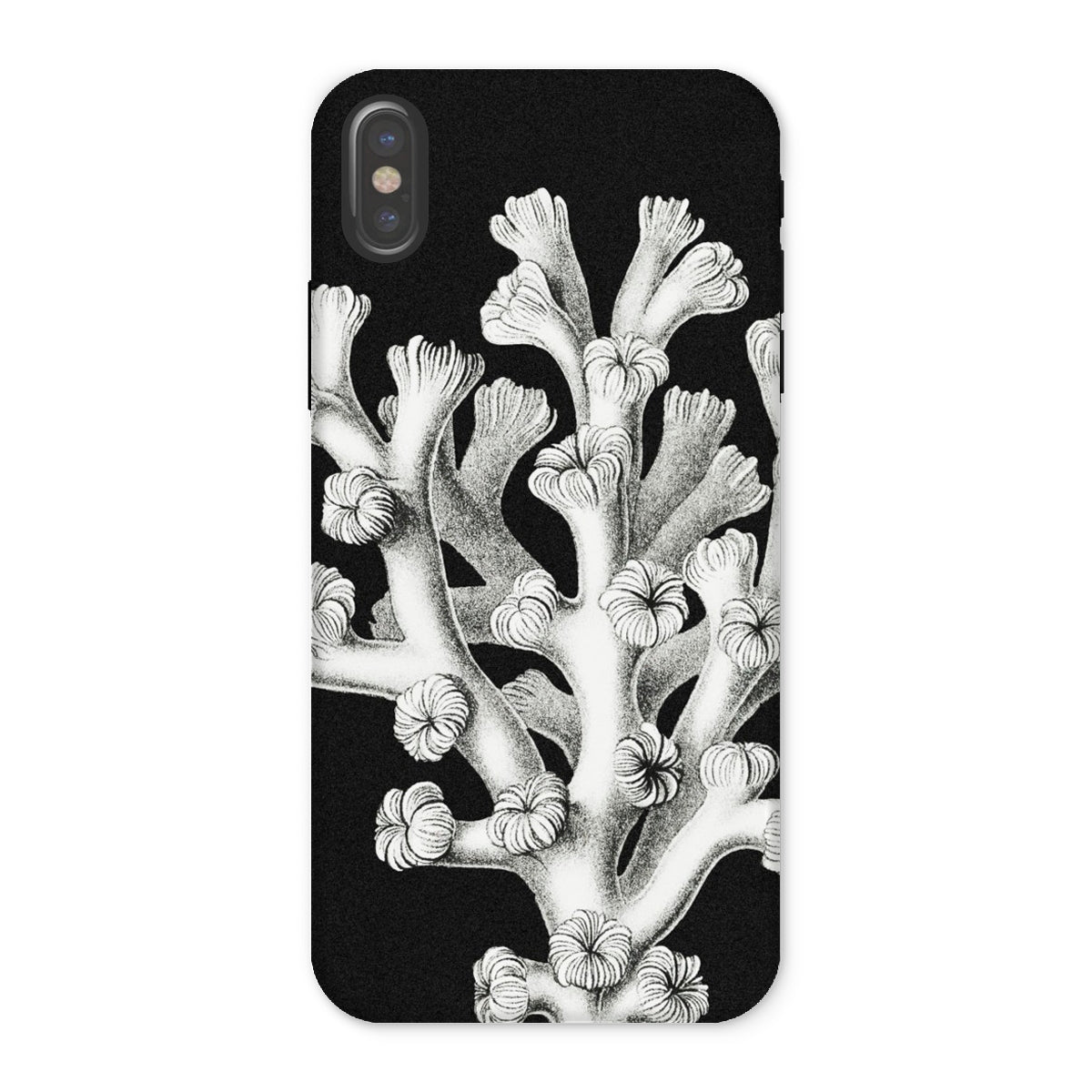 Coral - Ernst Haeckel Marine Life Illustration Iphone Case - x / Matte