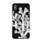 Coral - Ernst Haeckel Marine Life Illustration Iphone Case - Xs Max / Matte