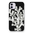 Coral - Ernst Haeckel Marine Life Illustration Iphone Case - 11 / Matte