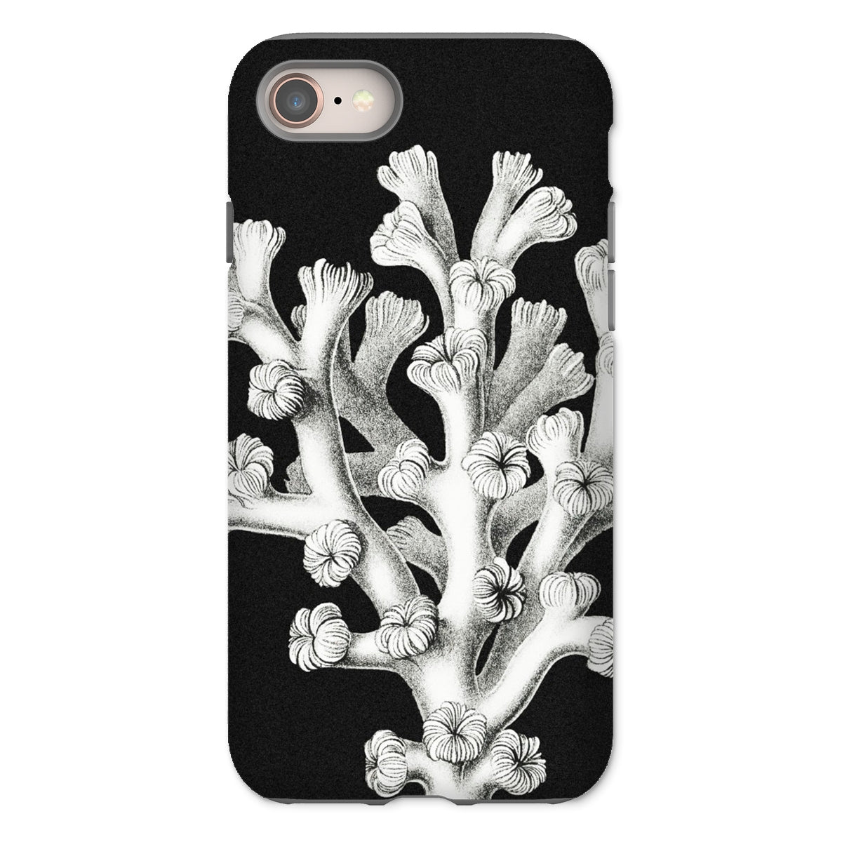 Coral - Ernst Haeckel Marine Life Illustration Iphone Case - 8 / Matte