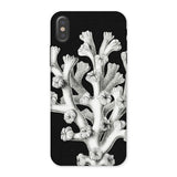 Coral - Ernst Haeckel Marine Life Illustration Iphone Case, x / Matte, Black Phone Case Coral Design