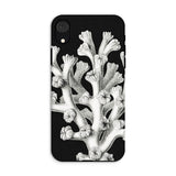 Coral - Ernst Haeckel Marine Life Illustration Iphone Case, Xr / Matte, Black Phone Case Coral Design