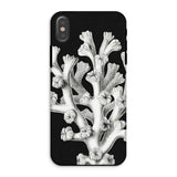Coral - Ernst Haeckel Marine Life Illustration Iphone Case, Xs / Matte, Black Phone Case Coral Design