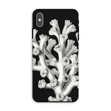 Coral - Ernst Haeckel Marine Life Illustration Iphone Case, Xs Max / Matte, Black Phone Case Coral Design