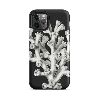 Coral - Ernst Haeckel Marine Life Illustration Phone Case Iphone 11 Pro / Matte Black Phone Case Coral Design Ernst Haeckel, Haeckel’s