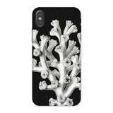 Coral - Ernst Haeckel Marine Life Illustration Phone Case Iphone x / Matte Black Phone Case Coral Design Ernst Haeckel, Haeckel’s Masterful