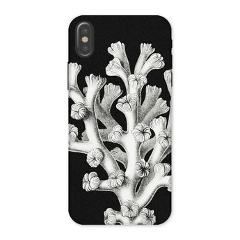 Coral - Ernst Haeckel Marine Life Illustration Phone Case Iphone x / Matte Black Phone Case Coral Design Ernst Haeckel, Haeckel’s Masterful