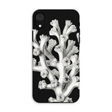 Coral - Ernst Haeckel Marine Life Illustration Phone Case Iphone Xr / Matte Black Phone Case Coral Design Ernst Haeckel, Haeckel’s