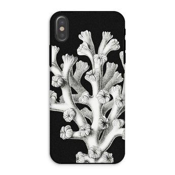 Coral - Ernst Haeckel Marine Life Illustration Phone Case Iphone Xs / Matte Black Phone Case Coral Design Ernst Haeckel, Haeckel’s