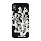 Coral - Ernst Haeckel Marine Life Illustration Phone Case Iphone Xs Max / Matte Black Phone Case Coral Design Ernst Haeckel, Haeckel’s