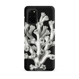 Coral - Ernst Haeckel Marine Life Illustration Phone Case Samsung Galaxy S20 Plus / Matte Black Phone Case Detailed White Botanical