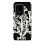 Coral - Ernst Haeckel Marine Life Illustration Phone Case Samsung Galaxy S20 Ultra / Matte Black Phone Case Detailed White Botanical