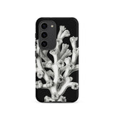 Coral - Ernst Haeckel Marine Life Illustration Phone Case Samsung Galaxy S23 / Matte Black Phone Case Detailed White Botanical Illustration