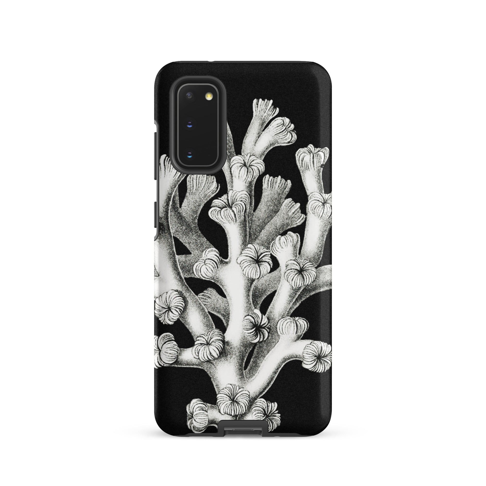 Coral Ernst Haeckel Marine Life Illustration Samsung Case, Galaxy S20 / Matte, Black Phone Case White Coral Design