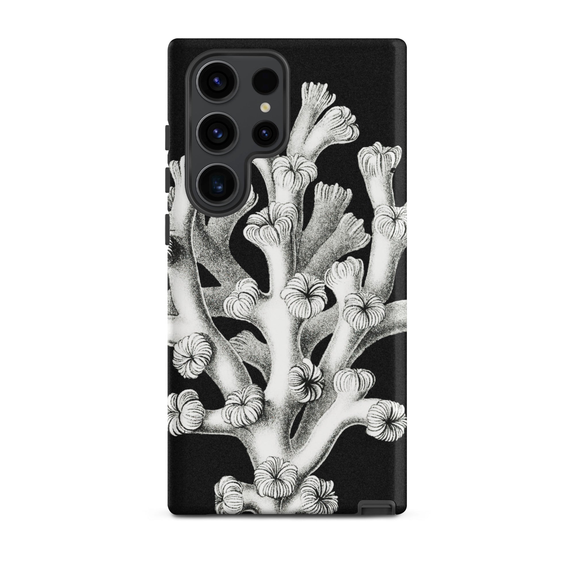 Coral Ernst Haeckel Marine Life Illustration Samsung Case, Galaxy S23 Ultra / Matte, Black Phone Case White Coral Illustration