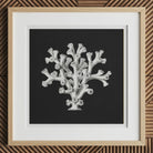 Coral - Ernst Haeckel Ocean Life Art Print, 12x12’’ / 31x31cm / Natural Frame, Framed Black White Coral Art Print Light Wood