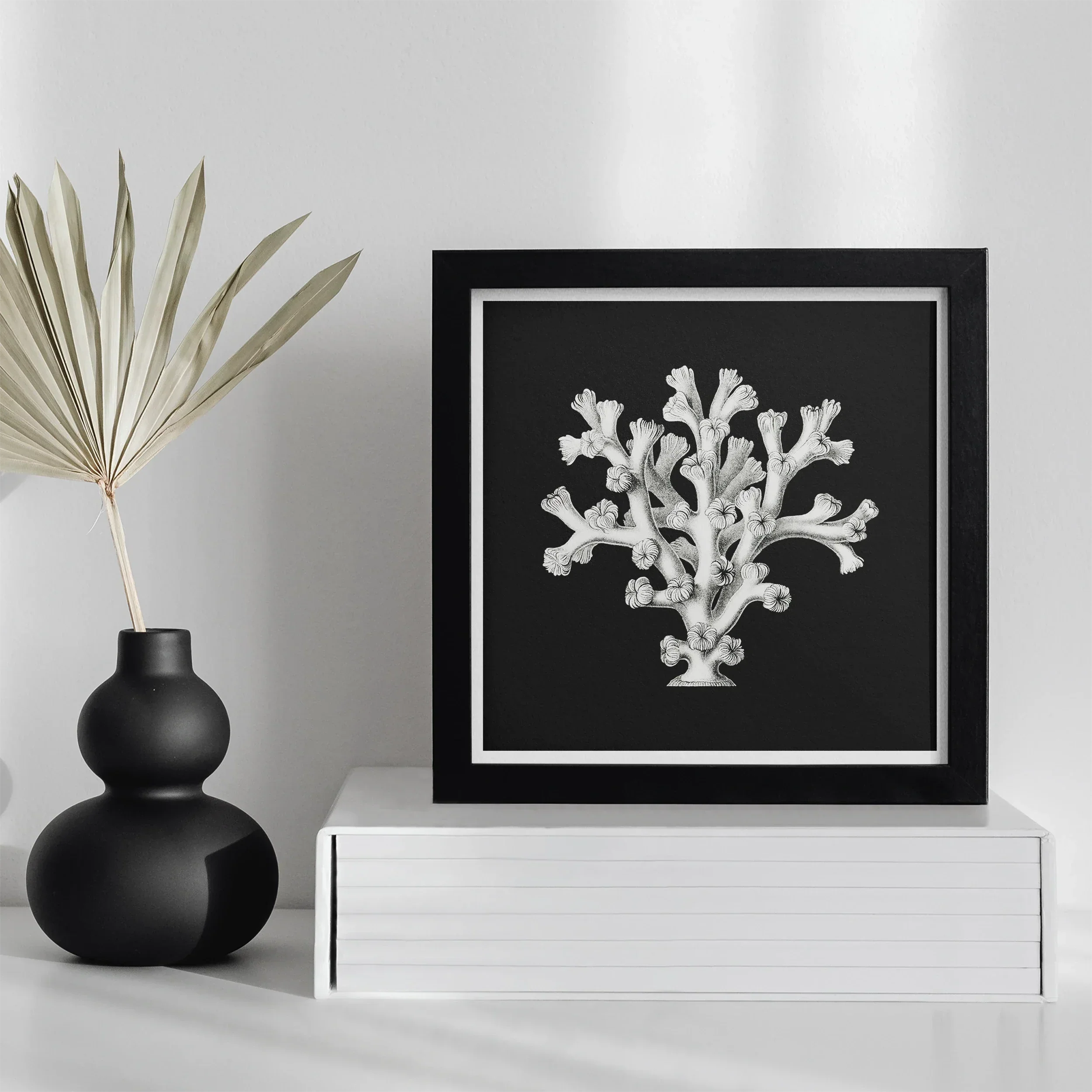 Coral Ernst Haeckel Ocean Life Art Print, Framed Black White Artwork Coral Like Structure