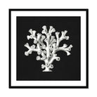 Coral Ernst Haeckel Ocean Life Art Print, White Coral Like Structure Formations Dark Backdrop
