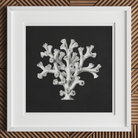 Coral Ernst Haeckel Ocean Life Art Print, White Coral Like Structure Formations Dark Background