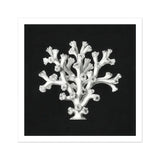 Coral - Ernst Haeckel Ocean Life Art Print, White Coral Specimen Tree-like Structure