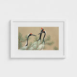 Cranes from Momoyogusa - Kamisaka Sekka Art Print / Canvas White Framed Artwork Traditional-style Illustration Three Black-and-white,