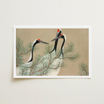 Cranes from Momoyogusa - Kamisaka Sekka Art Print / Canvas Framed Artwork Three Elegant Red-crowned Perched Among, Nihonga Artistry Meets