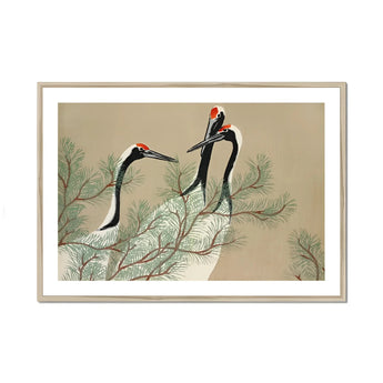Cranes from Momoyogusa - Kamisaka Sekka Art Print, Three Elegant Cranes Long Necks Red-topped Heads Perched