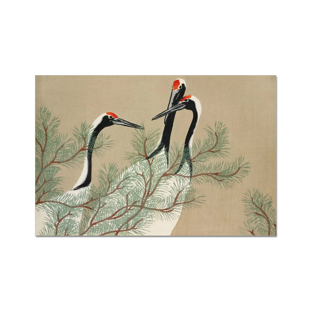 Cranes From Momoyogusa By Kamisaka Sekka Fine Art Print - 18’x12’ - Posters Prints & Visual Artwork - Aesthetic Art