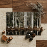 Cypress Swamp in Tallahassee - Carol m Highsmith Art Print / Canvas Rectangular Photographic Serene Forest Tall Slender, Light Pools Prints