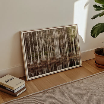 Cypress Swamp in Tallahassee - Carol m Highsmith Art Print, Framed Landscape Artwork Forest Reflected Water