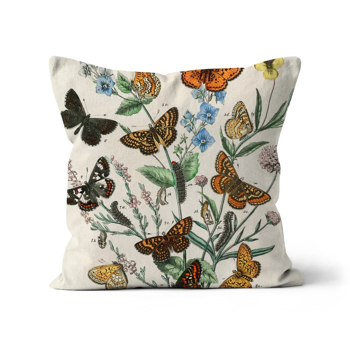 European Butterflies & Moths 2 - William Forsell Kirby Pillow Throw Pillows