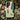 Deer from Momoyogusa - Kamisaka Sekka Phone Case Sekka’s, Iphone