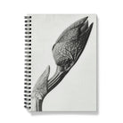 Aristolochia Clematitis (birthwort) - Karl Blossfeldt Notebook A5 / Graph Notebooks & Notepads