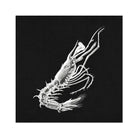 Prawn - Ernst Haeckel Black & White Ocean Life Art Print 30’’x30’’ Posters Prints Visual Artwork