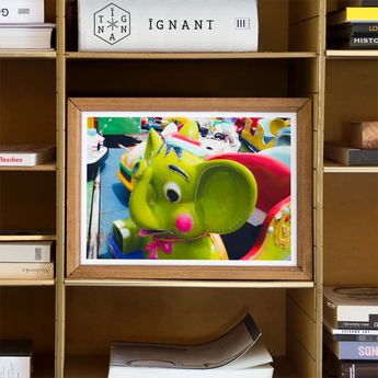 No Dumbo 2 + too Giclée Print, Framed Photograph Bright Green Cartoon-style Character Googly Eyes
