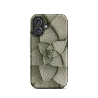 Echeveria Succulent Pattern Phone Case Iphone 16 / Matte Matte-finish Phone Case Detailed Muted Green Succulent Design Echeveria Rosette