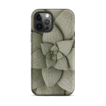 Echeveria Succulent Pattern Phone Case Iphone 12 Pro Max / Matte Sleek Phone Case Detailed Muted Green Succulent Design Echeveria Rosette