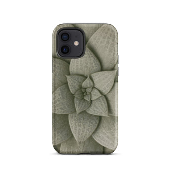 Echeveria Succulent Pattern Phone Case Iphone 12 / Matte Sleek Phone Case Detailed Muted Green Succulent Design Echeveria Rosette Spirals,