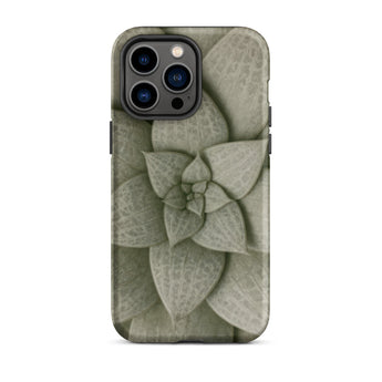 Echeveria Succulent Pattern Phone Case Iphone 14 Pro Max / Matte Sleek Matte-finish Phone Case Detailed Muted Green Succulent Echeveria