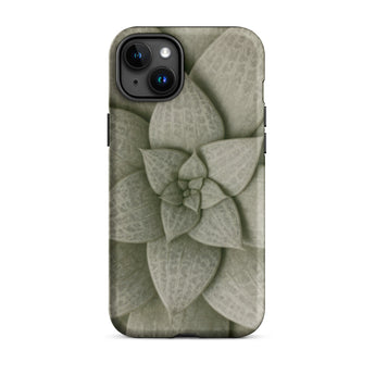 Echeveria Succulent Pattern Phone Case Iphone 15 Plus / Matte Sleek Matte-finish Phone Case Detailed Muted Green Succulent Echeveria