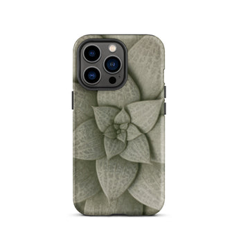 Echeveria Succulent Pattern Phone Case Iphone 13 Pro / Matte Sleek Matte-finish Phone Case Detailed Muted Green Succulent Echeveria Rosette