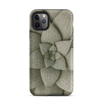 Echeveria Succulent Pattern Phone Case Iphone 11 Pro Max / Matte Sleek Matte-finish Phone Case Detailed Muted Green Succulent Echeveria