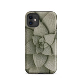 Echeveria Succulent Pattern Phone Case Iphone 11 / Matte Sleek Matte-finish Phone Case Detailed Muted Green Succulent Echeveria Rosette
