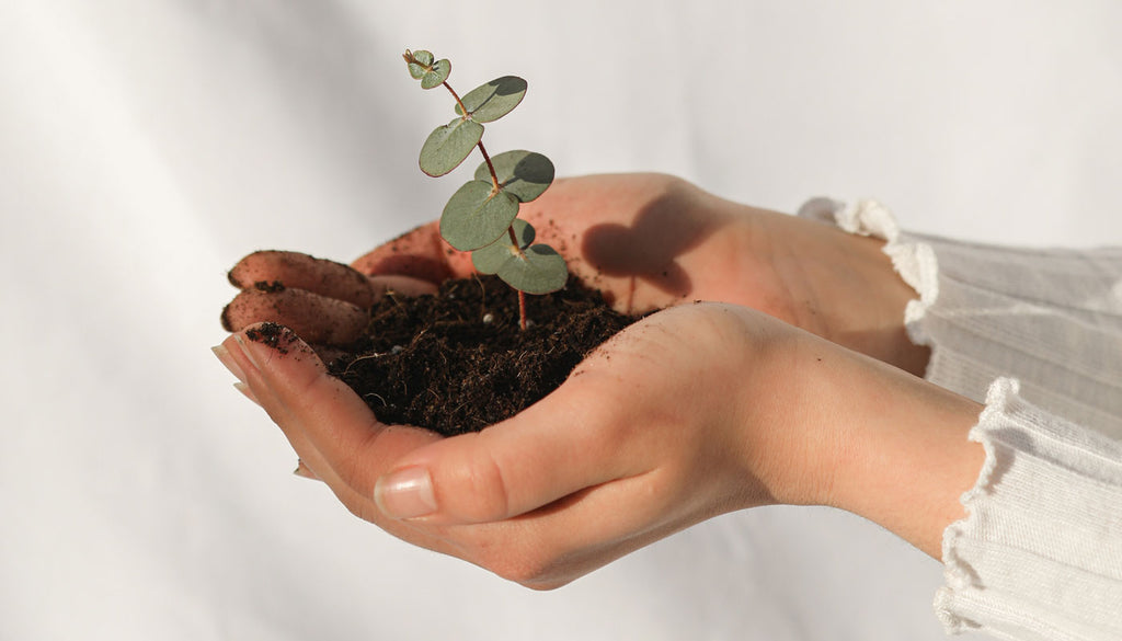 Product Fsc® Certified