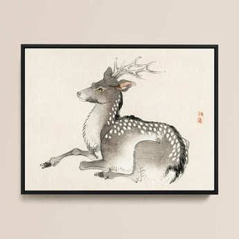 Elk - Kono Bairei Meiji-era Nihonga Deer Art Print / Canvas Framed Ink Wash Painting Spotted Deer Delicate Antlers Kōno Bairei’s Elk,