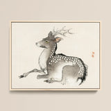 Elk - Kono Bairei Meiji-era Nihonga Deer Art Print / Canvas Framed Ink Wash Painting Spotted Deer Delicate Antlers Kōno Bairei’s Elk,