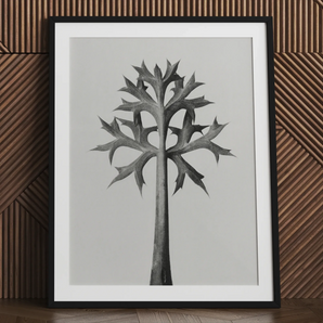 Eryngium Bourgatii (Mediterranean Zee Holly) - Karl Blossfeldt Art Print